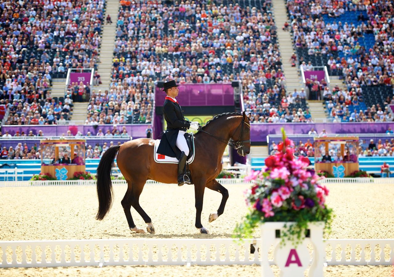 dressage maroc